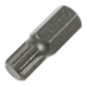 XZN Bit M10 Short 10mm Shank (spline)